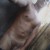 Leandro Fatal acompanhante masculino Cuiabá MT_03